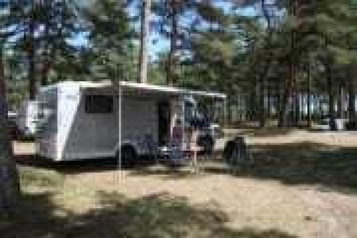 timmerman2-e1407221338566.jpg