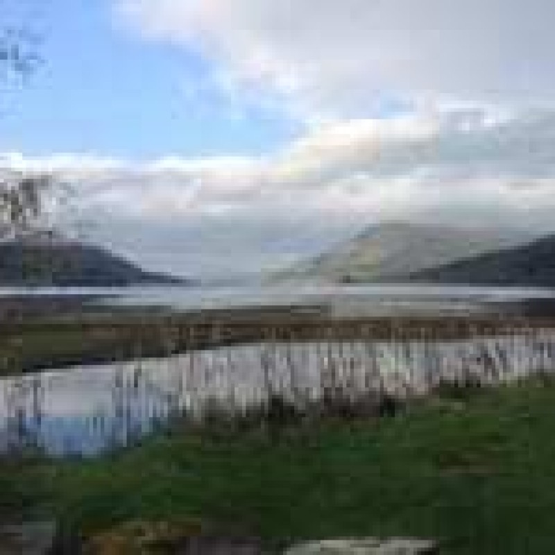 wormer-e1415736252568.jpg