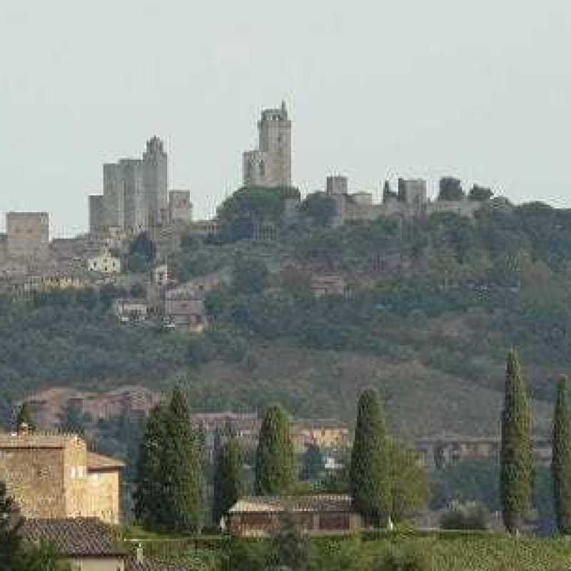 P1060902-423x304.jpg