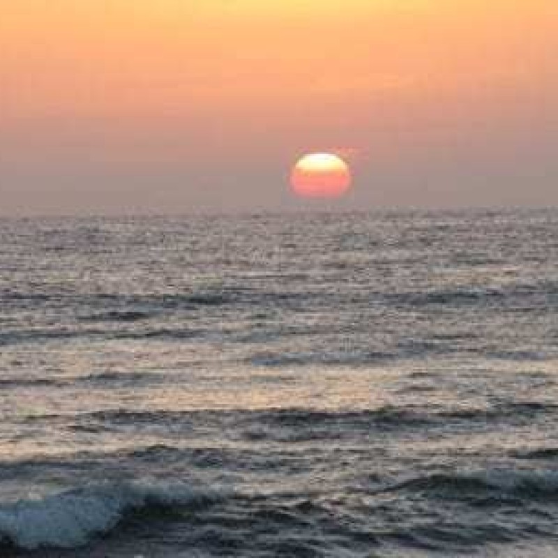 IMG_3485-607x304.jpg