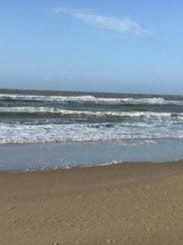 IMG_7249-607x304.jpg