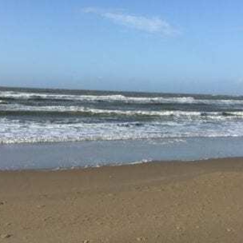 IMG_7249-607x304.jpg