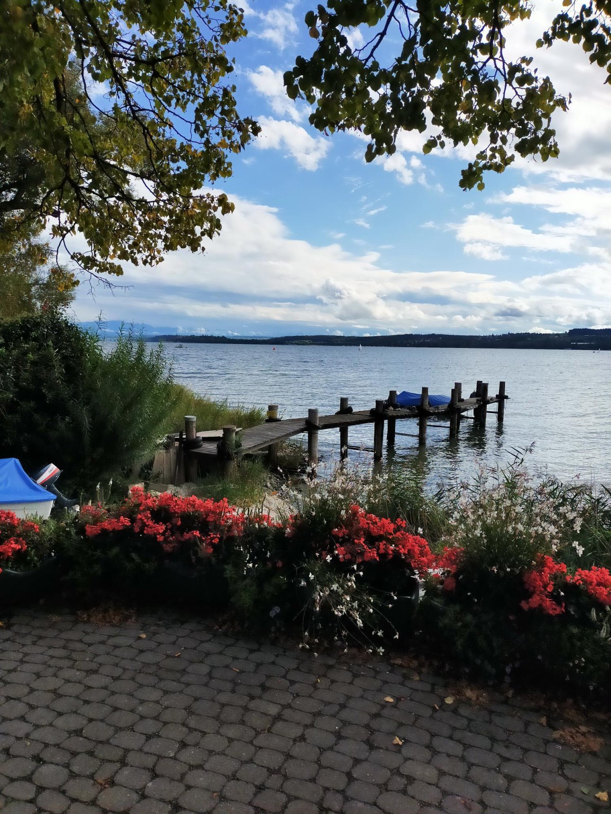 camperfoto-reisverhaal-bodensee-sept-2023.jpg