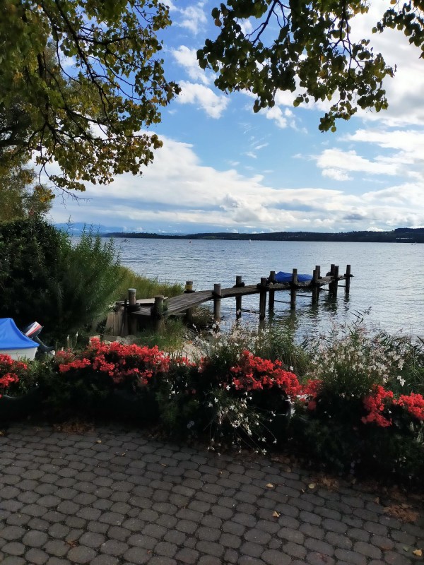camperfoto-reisverhaal-bodensee-sept-2023.jpg