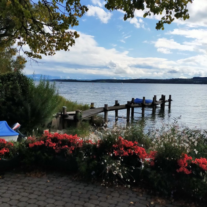 camperfoto-reisverhaal-bodensee-sept-2023.jpg