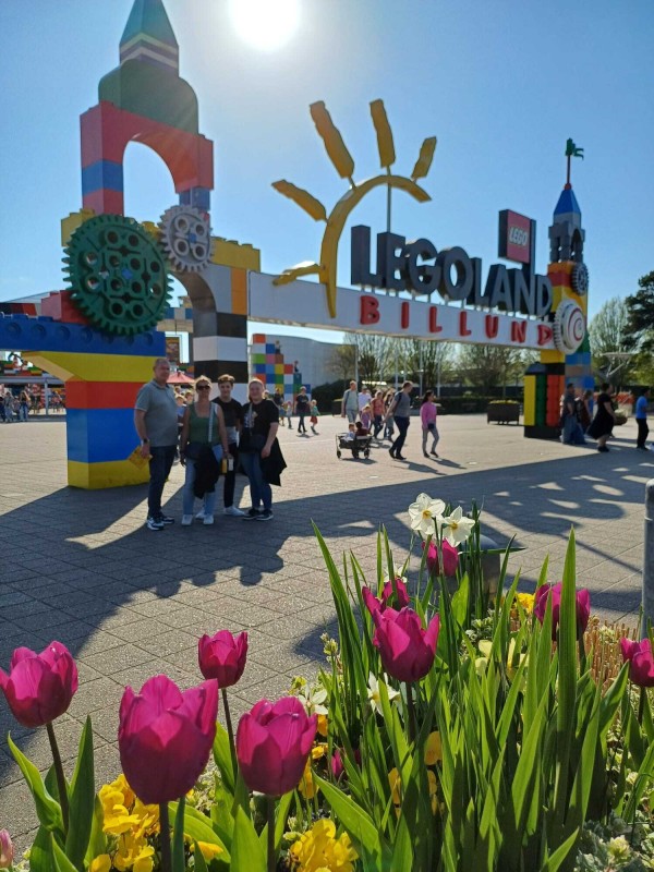 1720000445748.jpg