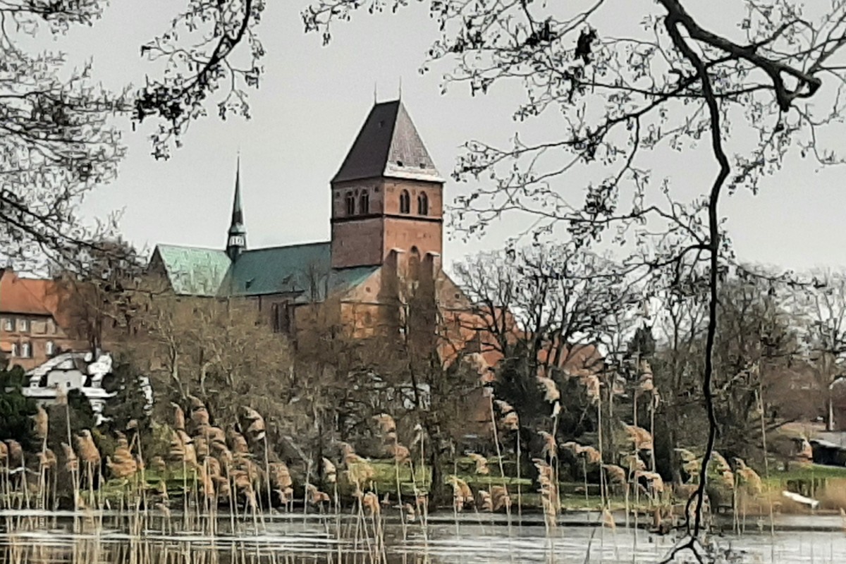 20260412_145925.jpg