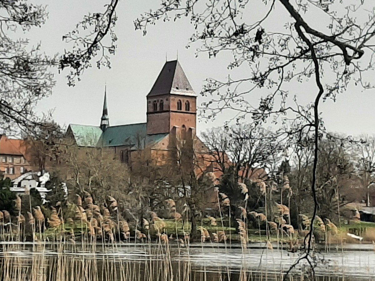 20260412_145925.jpg