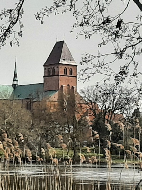 20260412_145925.jpg