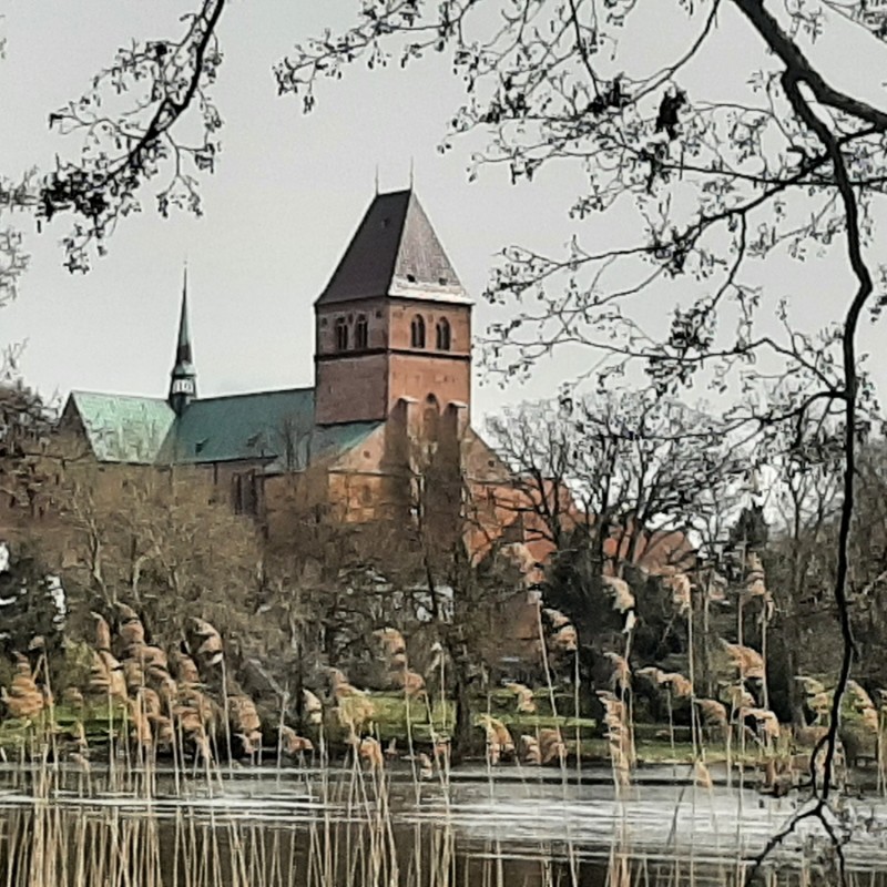 20260412_145925.jpg