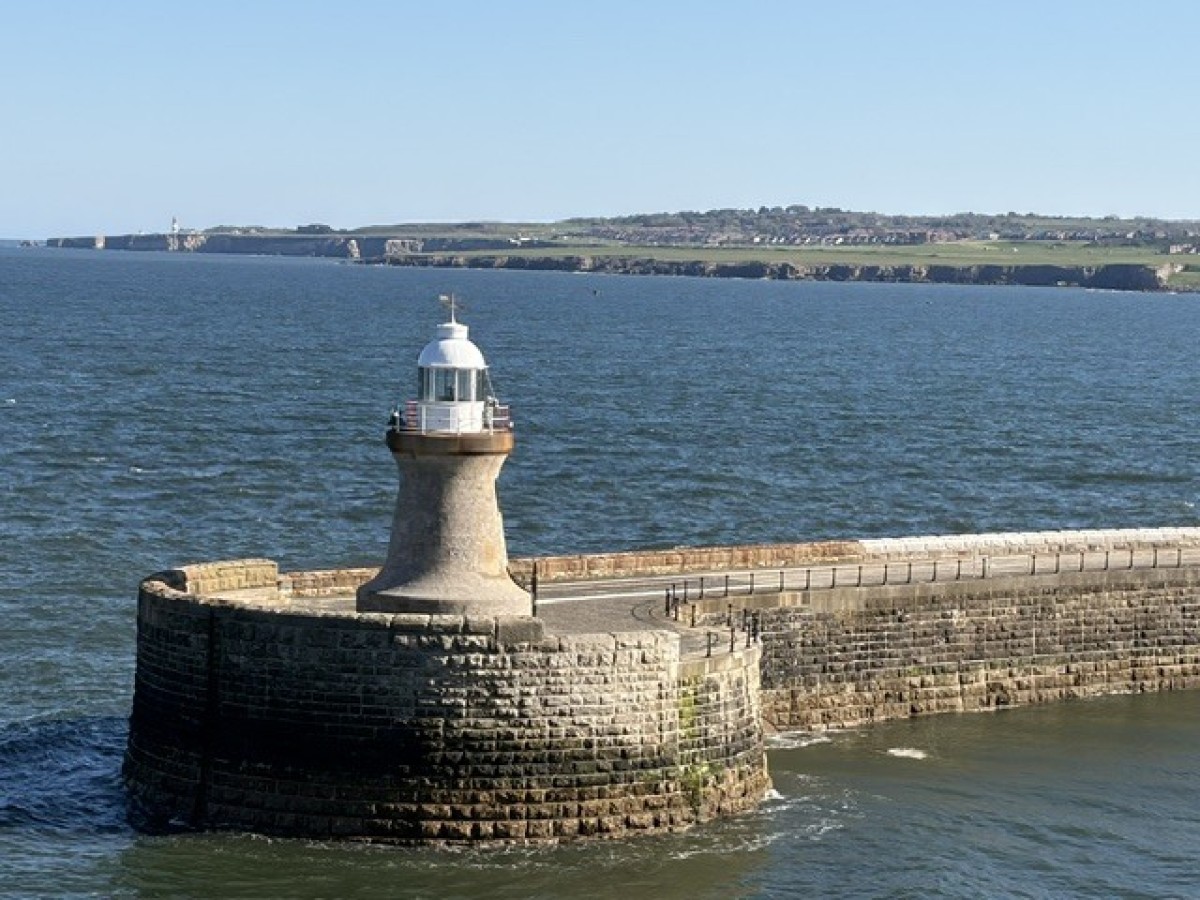 image1.jpg