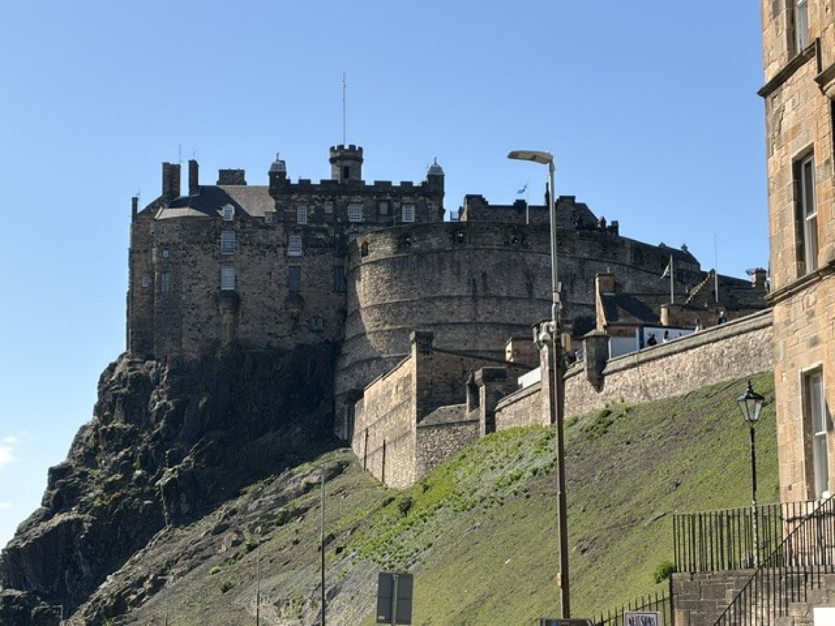 image6.jpg
