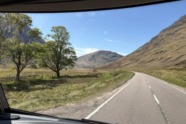 image8.jpg