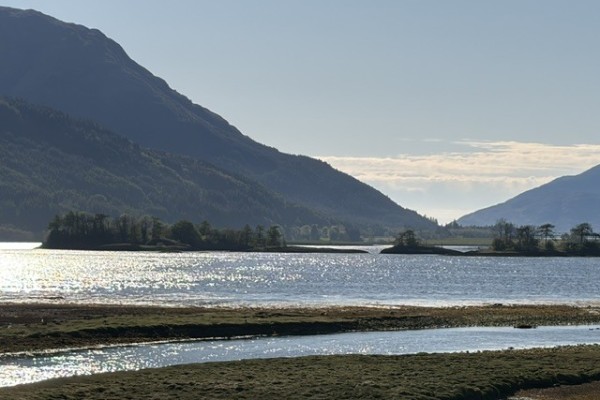 image9.jpg