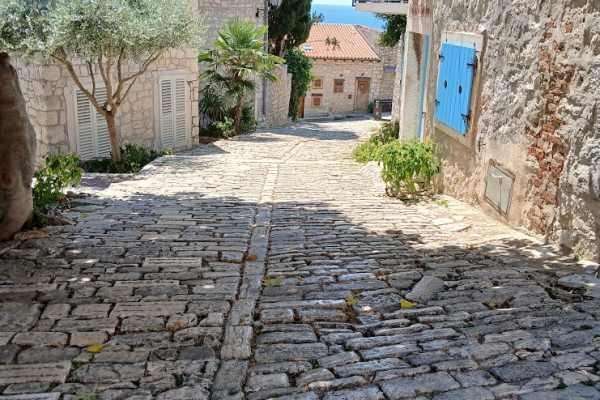 image-(21).png